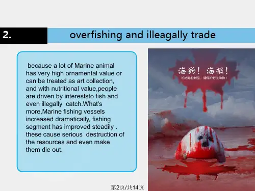 海洋污染英文演讲稿