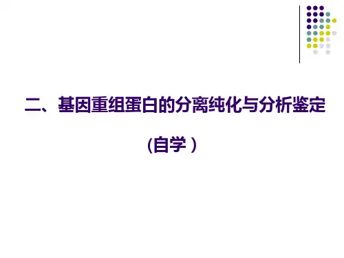 生物技术制药：2-基因工程制药-2