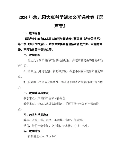 2024年幼儿园大班科学活动公开课教案《玩声音》