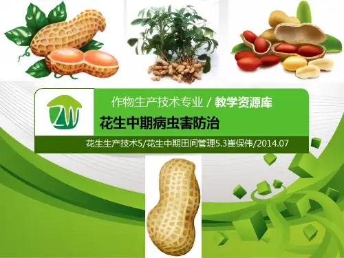花生中期病虫害防治.pptx