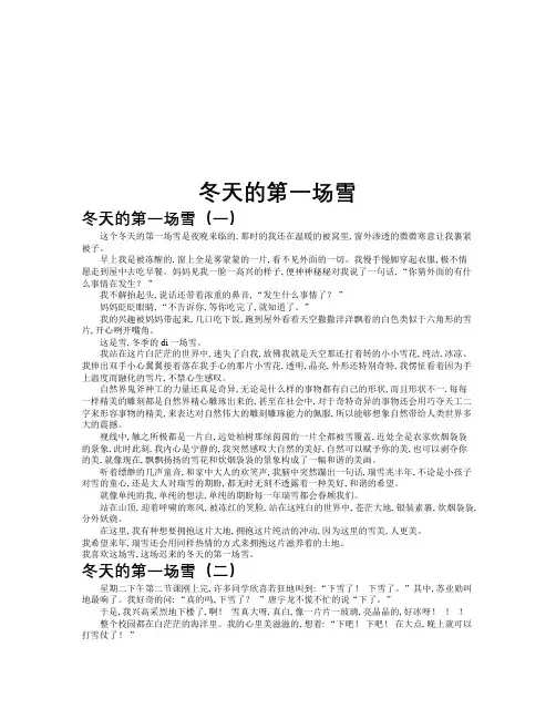冬天的第一场雪作文共九篇