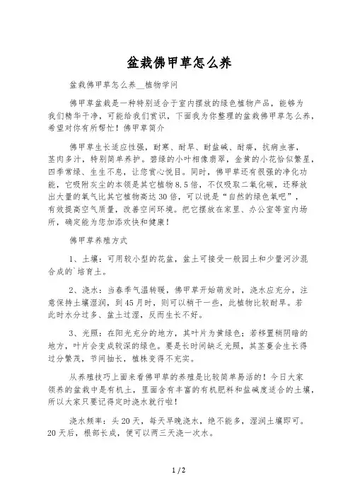 盆栽佛甲草怎么养