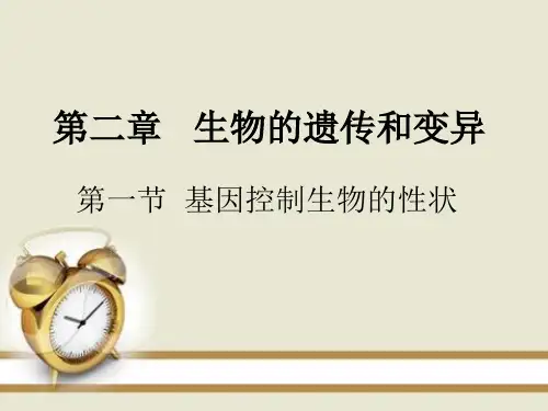 7.2.1 基因控制生物的性状 人教版八年级下册生物课件(共24张PPT)