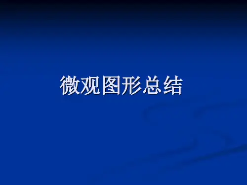 西方经济学 图形总结