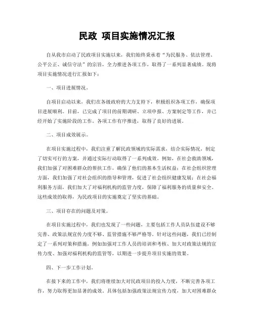 民政 项目实施情况汇报