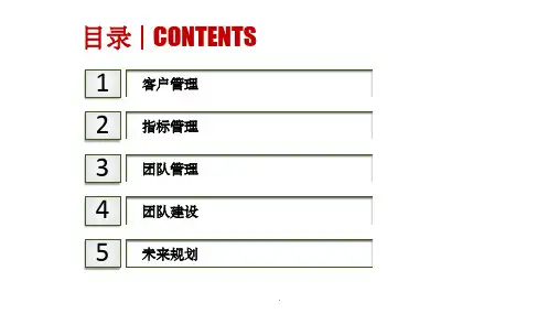 服务外包项目运营管理方案ppt课件