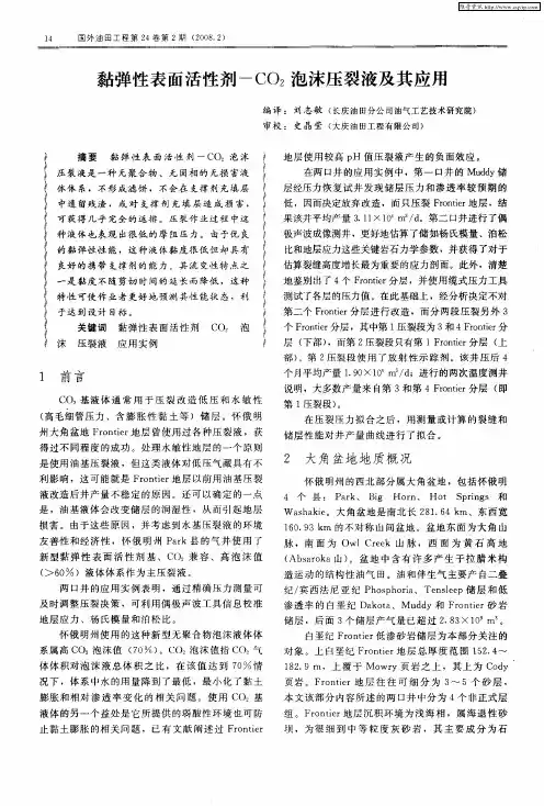 黏弹性表面活性剂-CO2泡沫压裂液及其应用