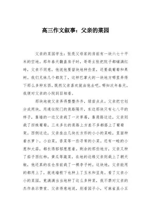 高三作文叙事：父亲的菜园