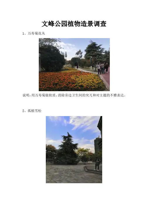 公园植物造景调查