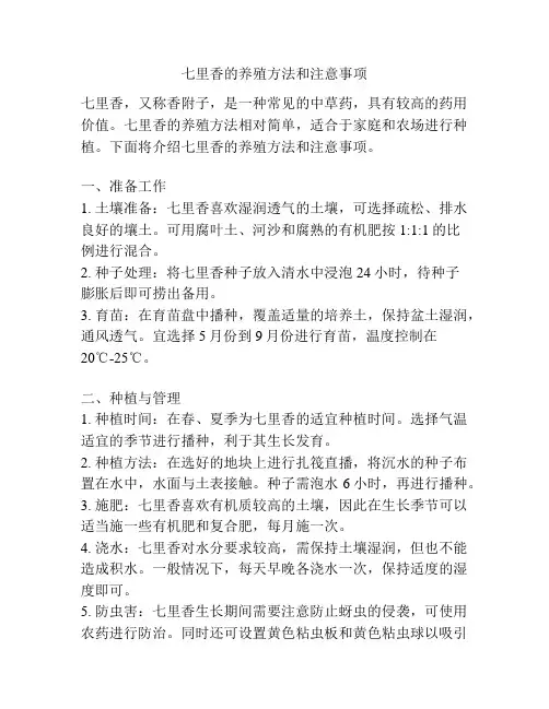 七里香的养殖方法和注意事项