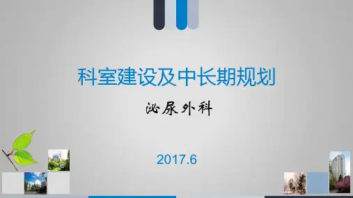 科室建设及中长期规划