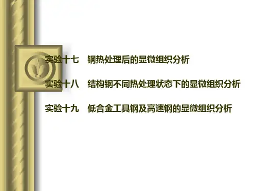 钢热处理后的显微组织分析
