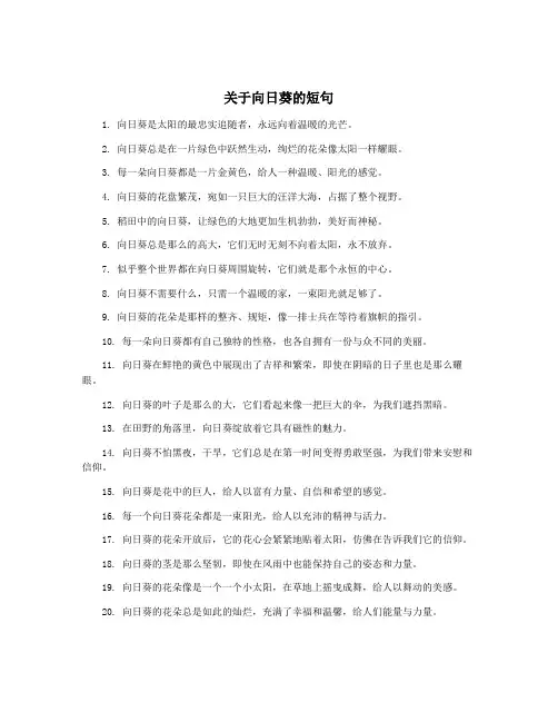 关于向日葵的短句