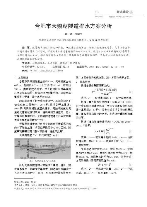 合肥市天鹅湖隧道排水方案分析