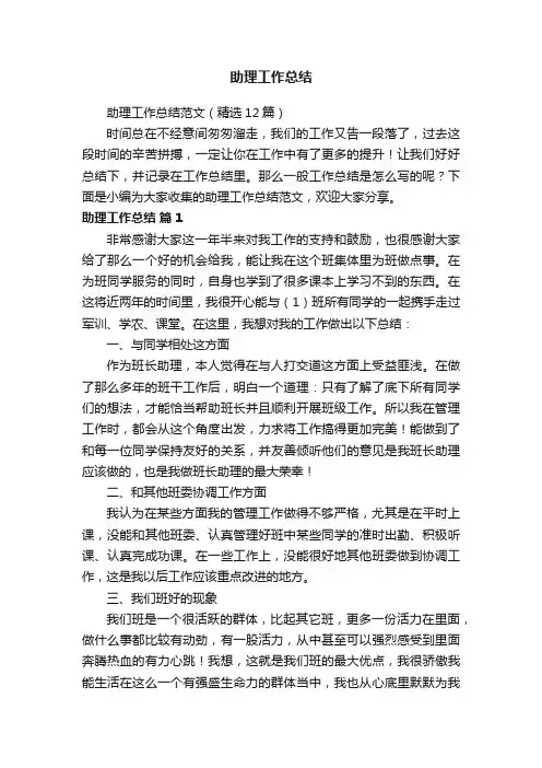助理工作总结范文（精选12篇）