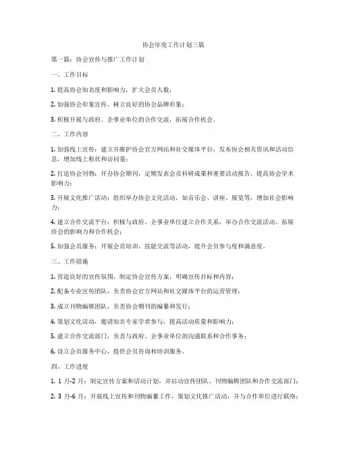 协会年度工作计划三篇