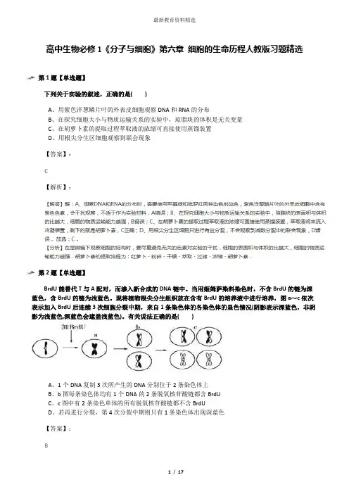 高中生物必修1《分子与细胞》第六章 细胞的生命历程人教版习题精选