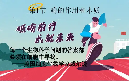 酶的作用与本质