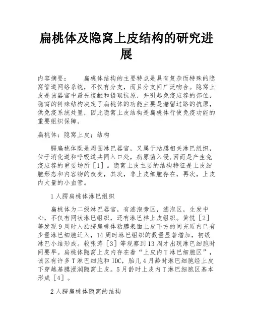 扁桃体及隐窝上皮结构的研究进展