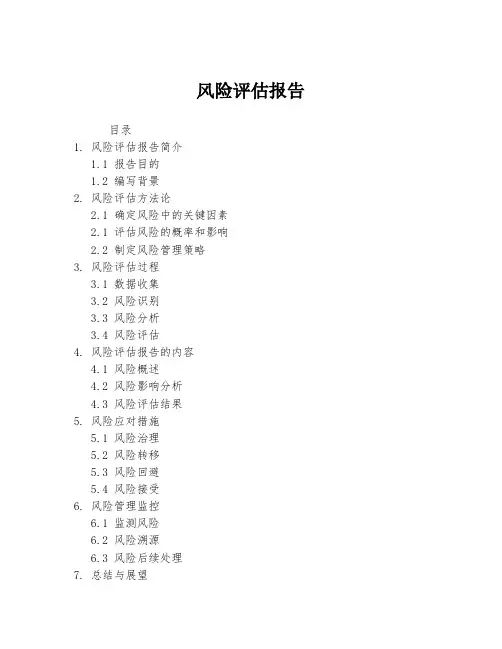 风险评估报告