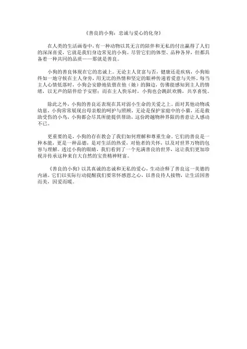 《善良的小狗：忠诚与爱心的化身》