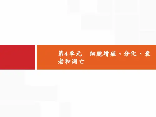 高考生物苏教一轮复习课件：4.1细胞增殖 