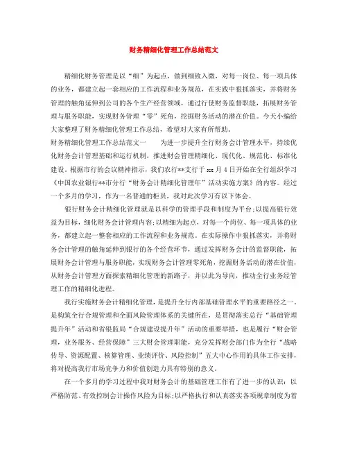财务精细化管理工作总结范文