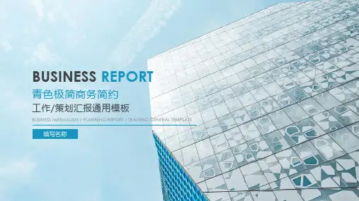 简约工作报告通用模板