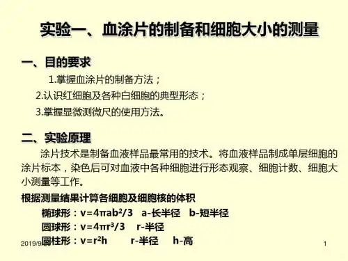 一血涂片的制备和细胞大小的测量PPT课件