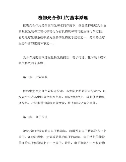 植物光合作用的基本原理