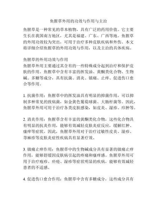 鱼腥草外用的功效与作用与主治