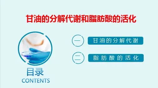 脂类代谢—脂肪的代谢(生物化学课件)