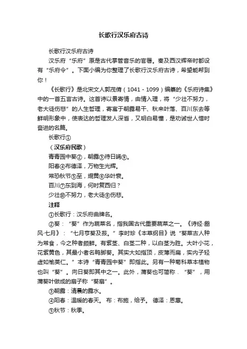 长歌行汉乐府古诗
