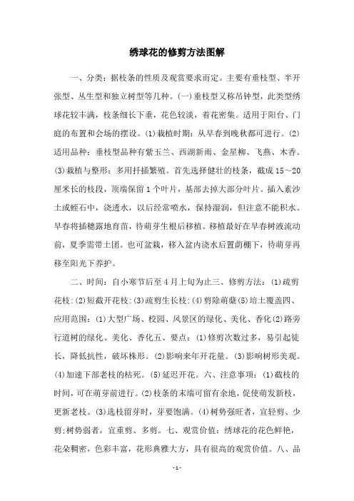 绣球花的修剪方法图解