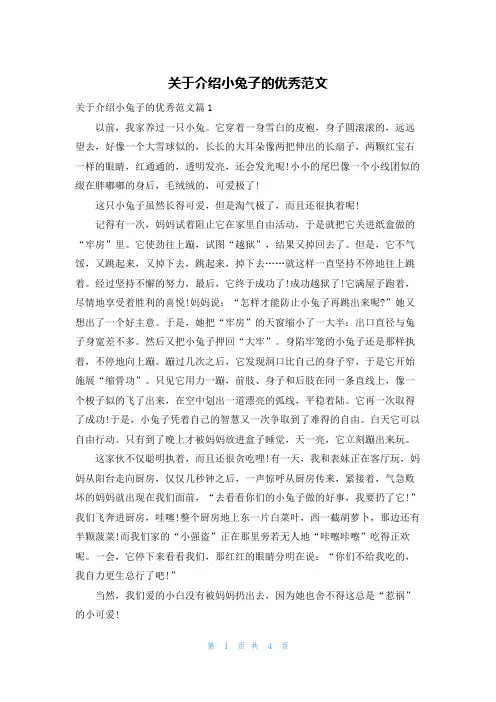 关于介绍小兔子的优秀范文
