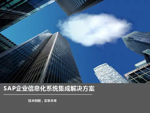SAP企业信息化系统集成解决方案
