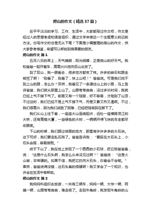 爬山的作文（精选37篇）