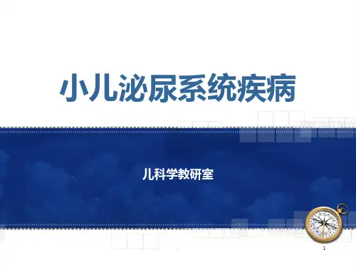 小儿泌尿系统疾病PPT课件