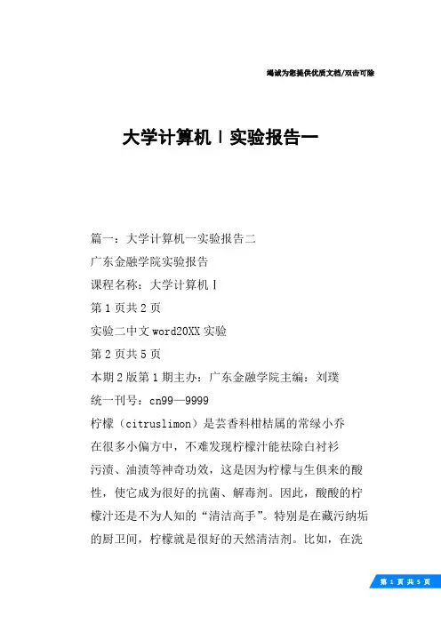 大学计算机Ⅰ实验报告一