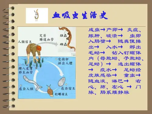 抗血吸虫、抗丝虫、抗阿米巴药物