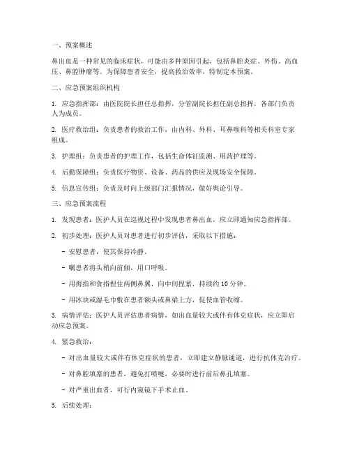鼻出血的应急预案