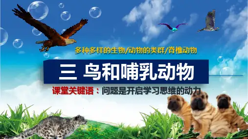 人教版生物七年级上册2.2.3《鸟和哺乳动物》课件(共28张PPT)