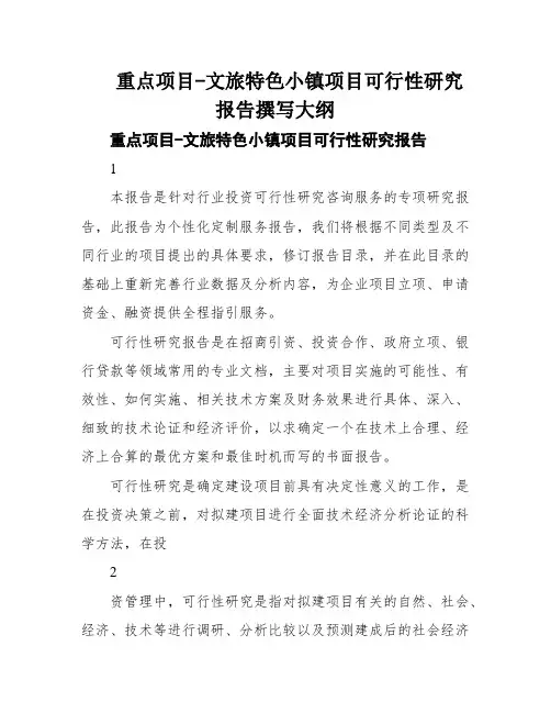重点项目-文旅特色小镇项目可行性研究报告撰写大纲