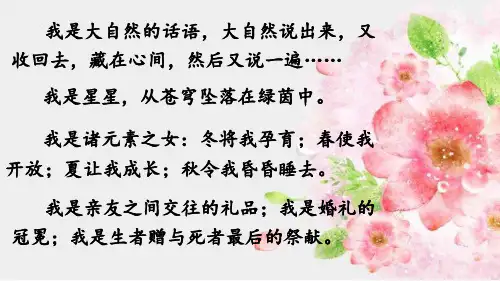 部编版六年级语文上册4《花之歌》课件(共27张PPT)