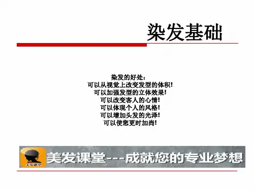 最全发型师必学染发课件