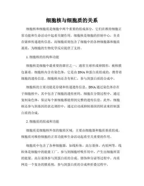 细胞核与细胞质的关系
