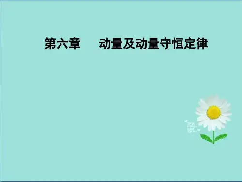 高三物理第一轮复习课件第六章第一讲动量定理及其应用