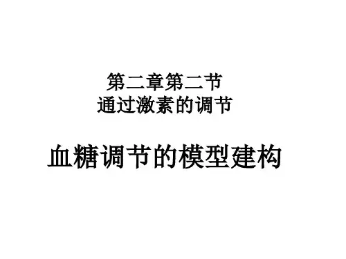 09年高考生物血糖调节的模型建构