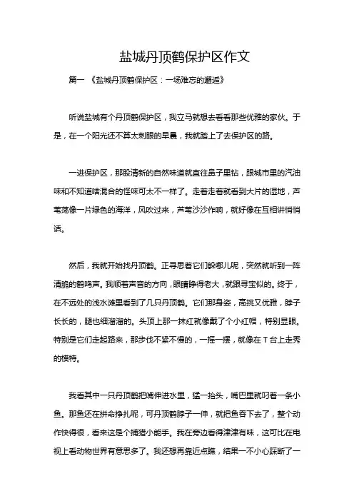 盐城丹顶鹤保护区作文