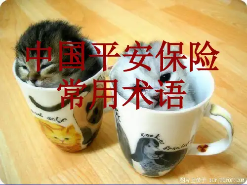 平安通关话术